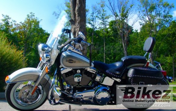 2008 Harley-Davidson FLSTC Softail photo